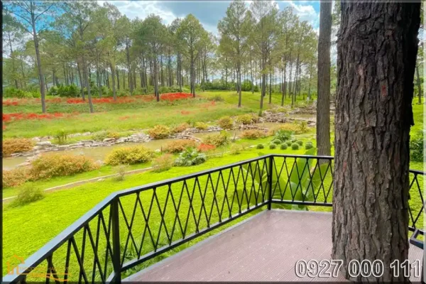 Mẫu nhà gỗ lắp ghép cho homestay 15m2
