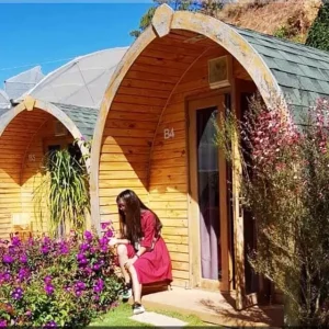 Thi công xây dựng nhà gỗ lắp ghép ở Đà Lạt